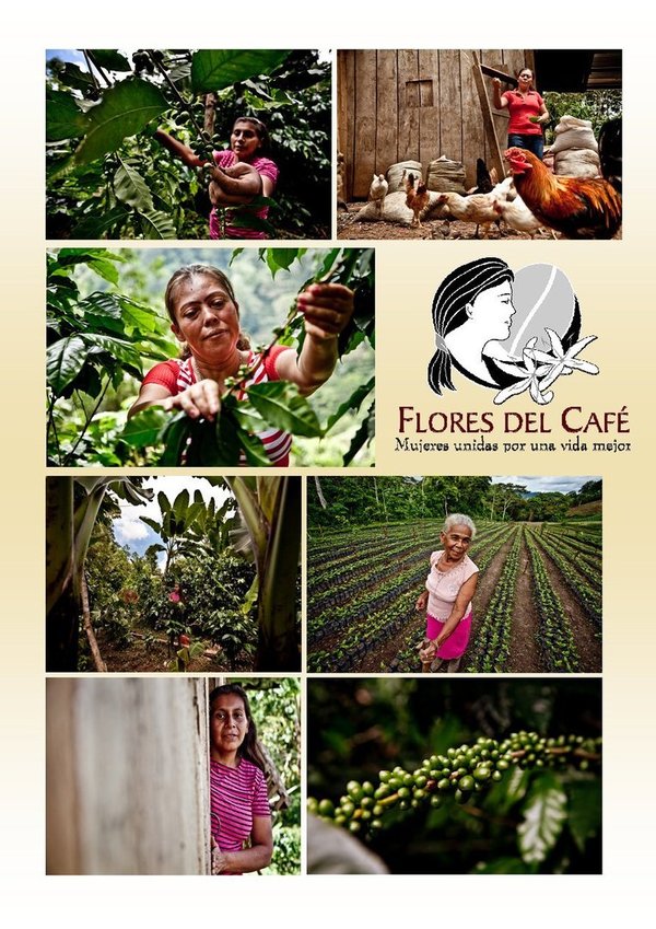 Flores del Café - Women's Fund Project